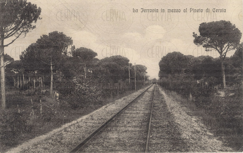 Cervia - Ferrovia in mezzo al Pineto