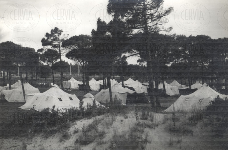 Camping - Pineta