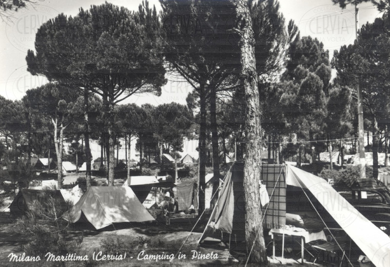 Camping in Pineta