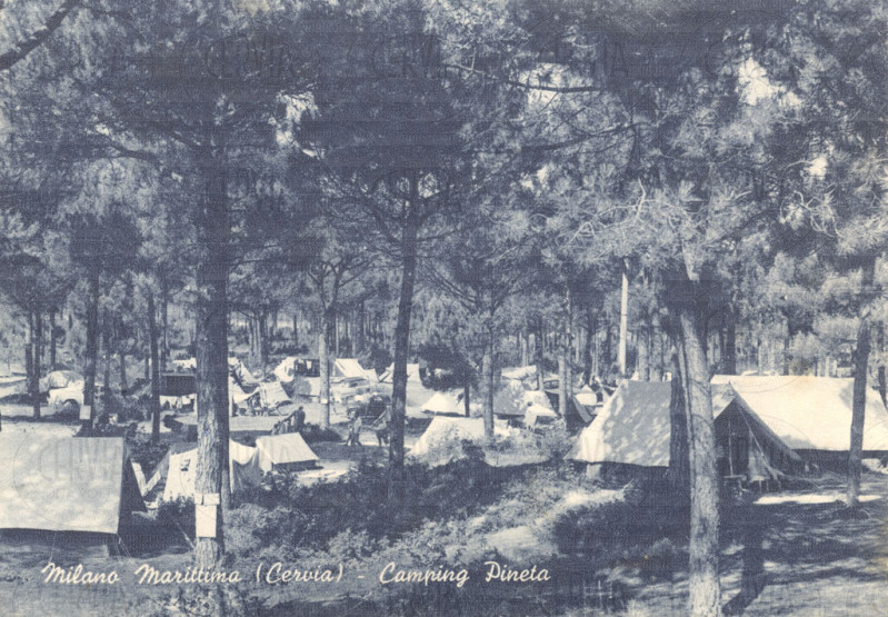 Camping Pineta