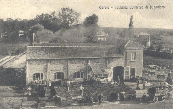 Fabbrica conserva di pomodoro
