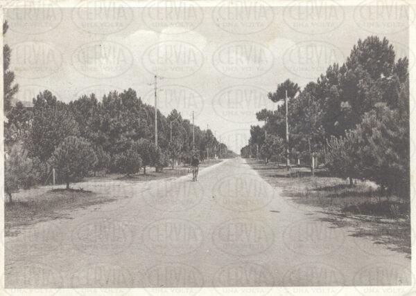 La Pineta