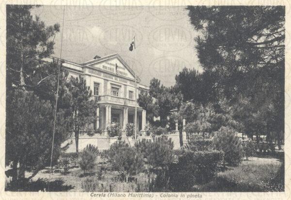 Colonia in pineta
