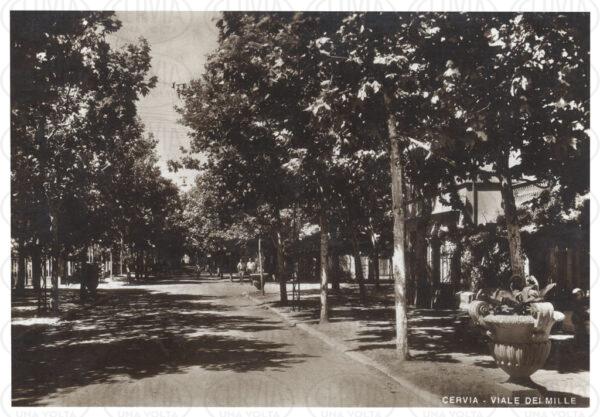 Viale dei Mille
