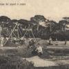 Lavorazione dei pignoli in pineta