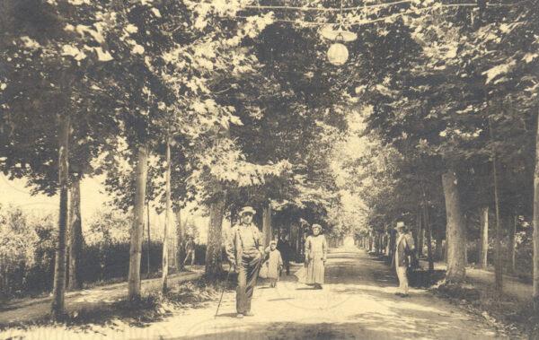 Viale Borgia