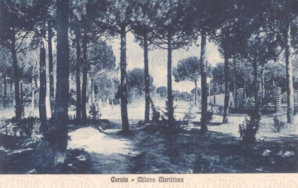 La Pineta