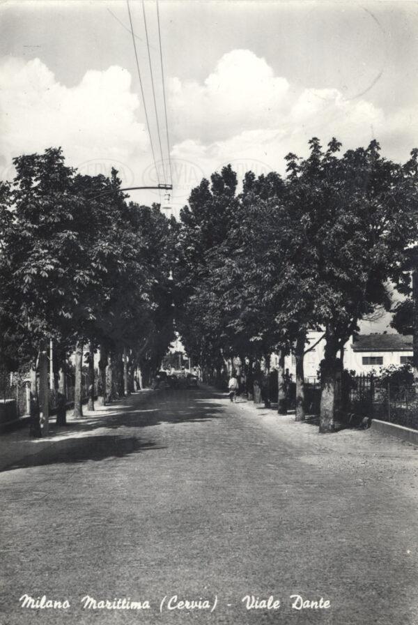 Viale Dante