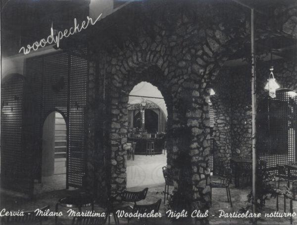 Woodpecker Night Club