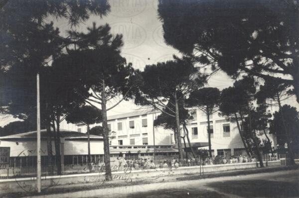Colonia
