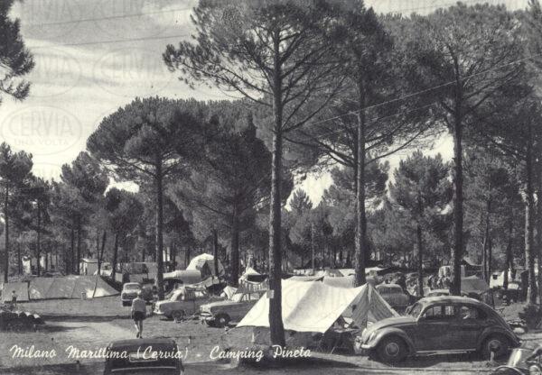 Camping Pineta