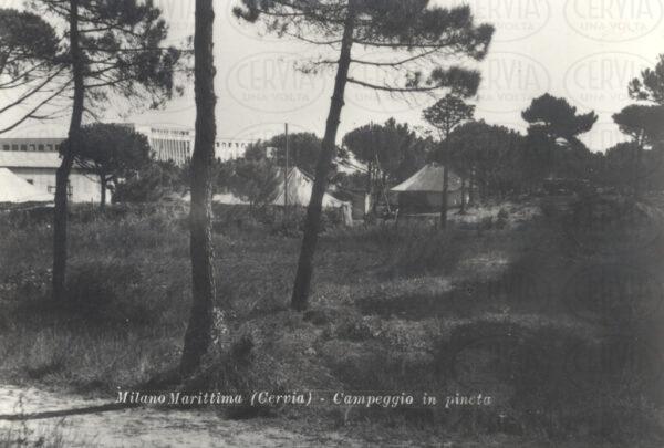 Campeggio in Pineta