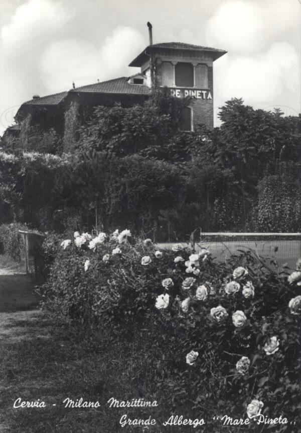 Grande Albergo Mare Pineta
