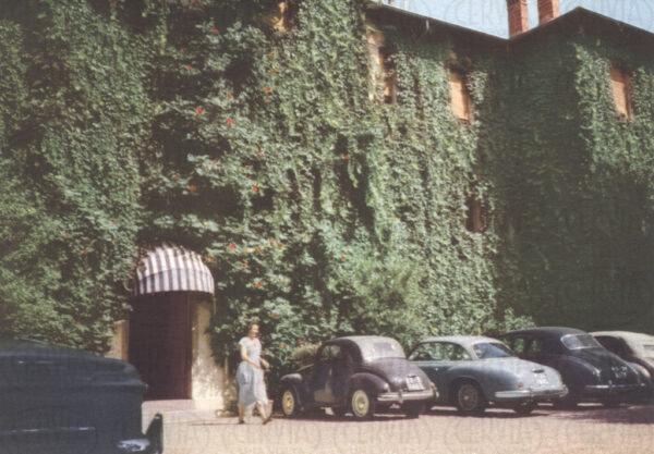 Hotel Mare Pineta