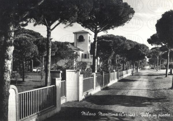 Ville in Pineta