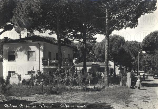 Ville in pineta a Milano Marittima