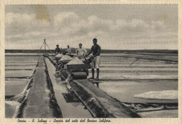 Saline di Cervia
