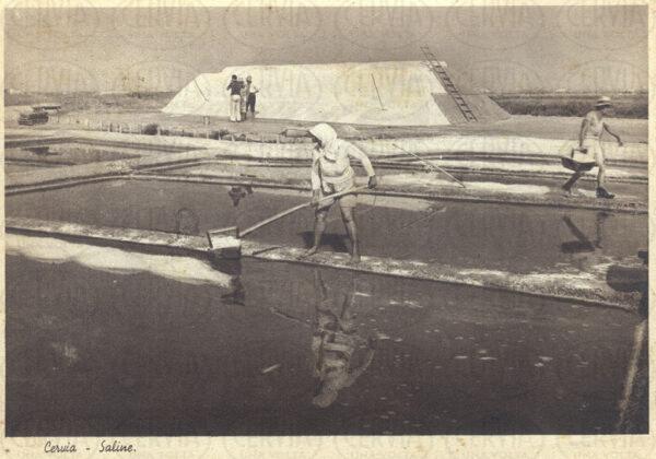 Saline di Cervia