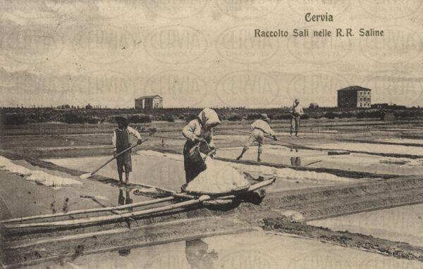 Saline di Cervia