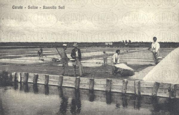 Saline di Cervia